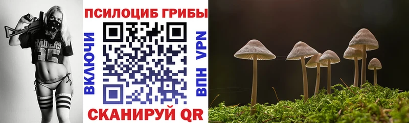 как найти закладки  Темников  Галлюциногенные грибы мухоморы 