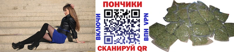 Бошки марихуана индика  наркошоп  Темников 